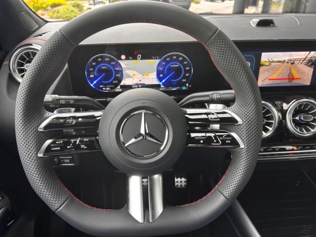 MERCEDES-BENZ EQA 250+  EQA 250+