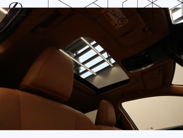 LEXUS NX 450H+ 4WD Executive  