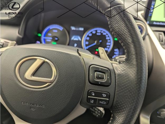 LEXUS NX 2.5 300H F SPORT 4WD AUTO  