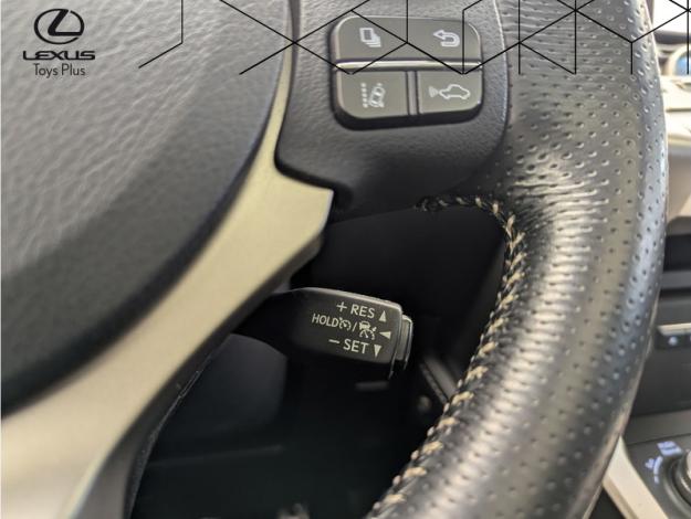 LEXUS NX 2.5 300H F SPORT 4WD AUTO  