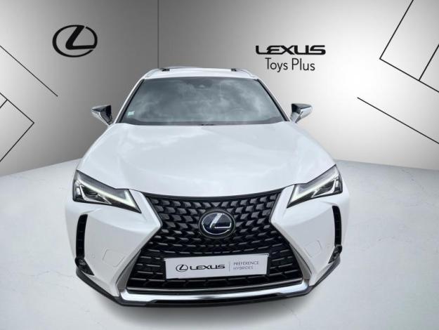 LEXUS UX 250H 2WD Luxe  