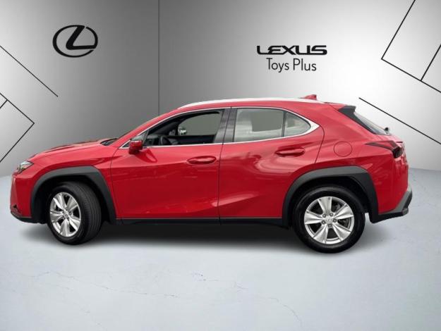 LEXUS UX 250H 2WD Pack Business  