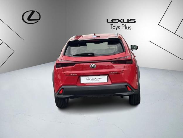 LEXUS UX 250H 2WD Pack Business  