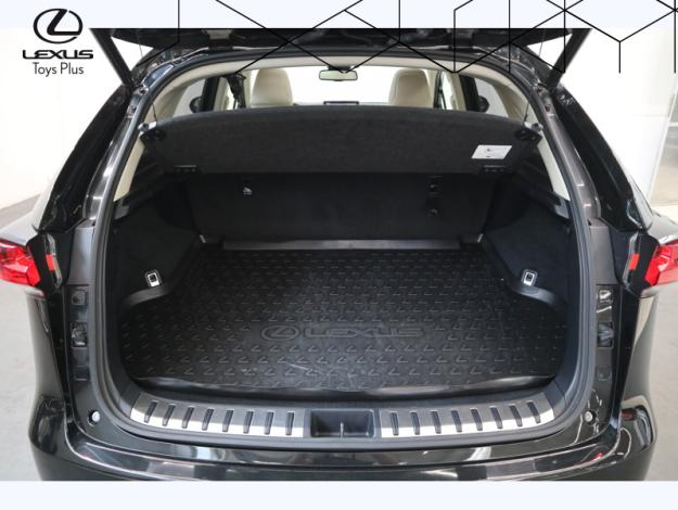 LEXUS NX 2.5 300H Executive Innovation 4WD   
