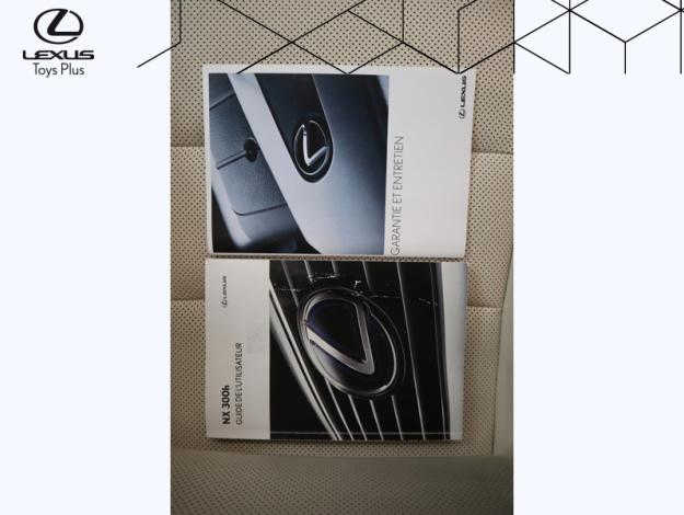 LEXUS NX 2.5 300H Executive Innovation 4WD   