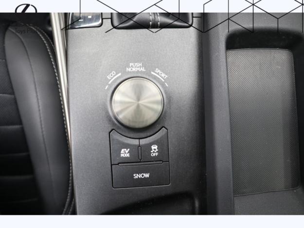 LEXUS IS 300h  