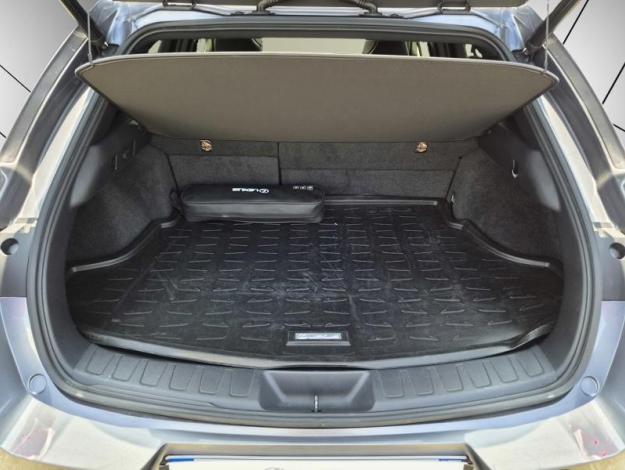 LEXUS UX 2.0 250H F SPORT 4WD   
