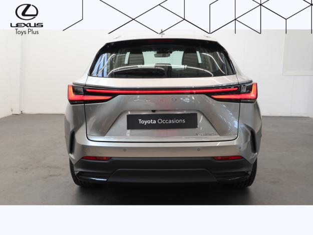 LEXUS NX 350H Pack Business 2WD MY25  
