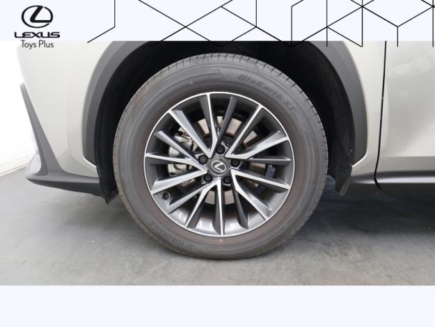 LEXUS NX 350H Pack Business 2WD MY25  