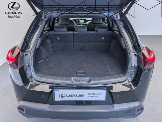LEXUS UX 2.0 250H 2WD Pack Business  