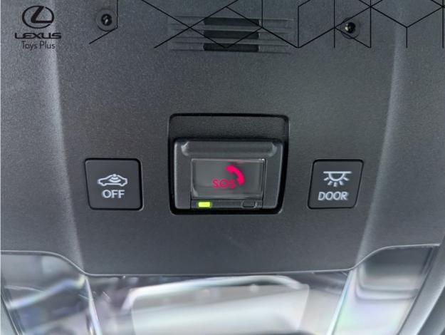 LEXUS UX 2.0 250H 2WD Pack Business  