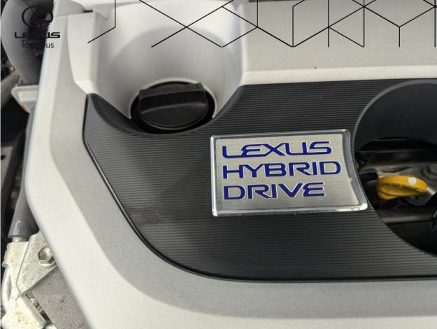 LEXUS UX 2.0 250H 2WD Pack Business  