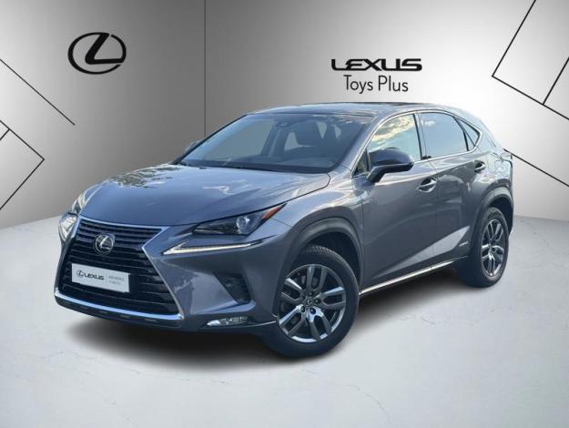 LEXUS NX 2.5 300H Luxe 4WD / Pano Kick  