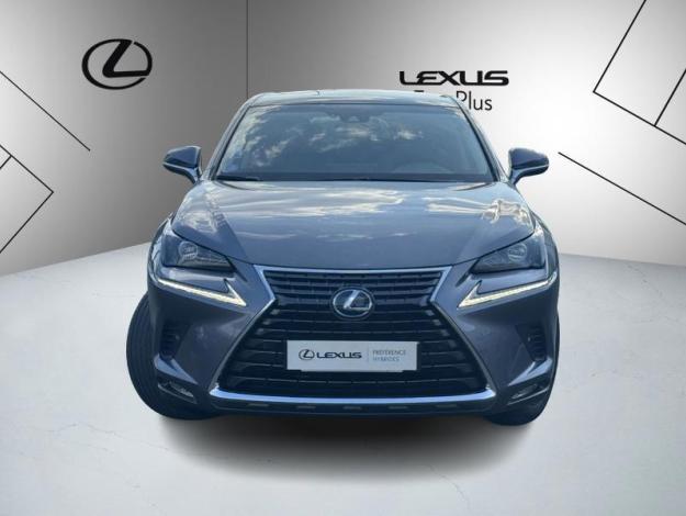 LEXUS NX 2.5 300H Luxe 4WD / Pano Kick  