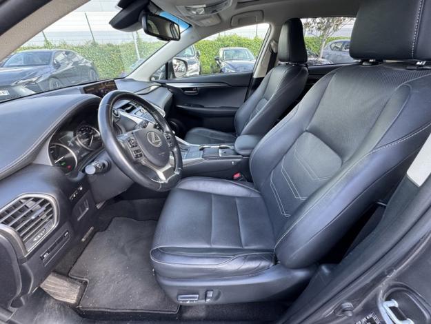 LEXUS NX 2.5 300H Luxe 4WD / Pano Kick  