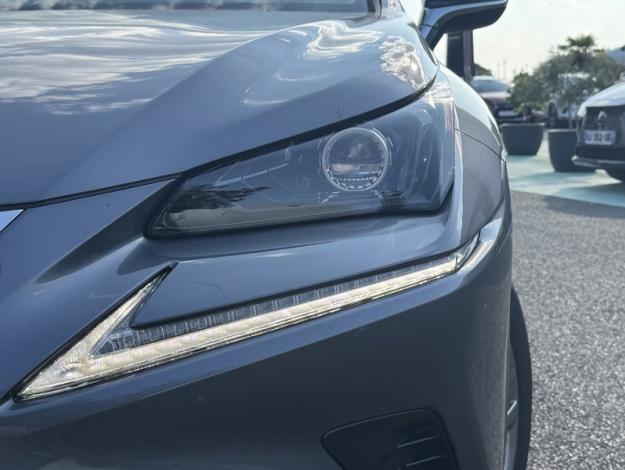 LEXUS NX 2.5 300H Luxe 4WD / Pano Kick  