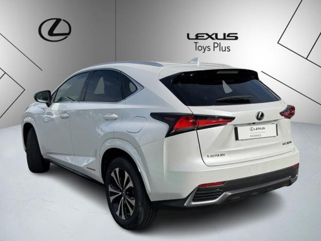LEXUS NX 300H 2WD Design  