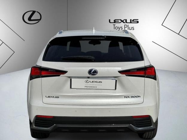 LEXUS NX 300H 2WD Design  