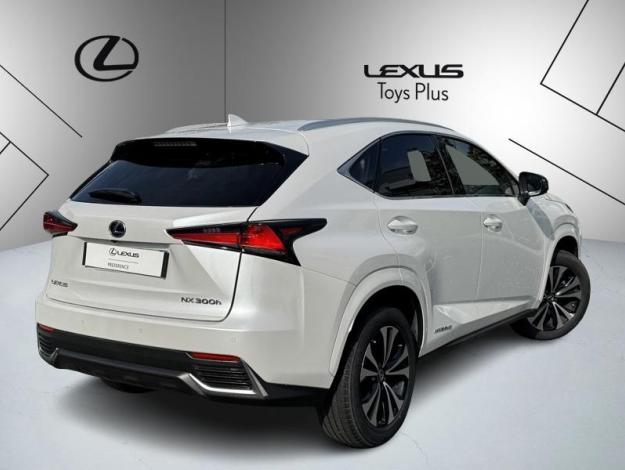 LEXUS NX 300H 2WD Design  