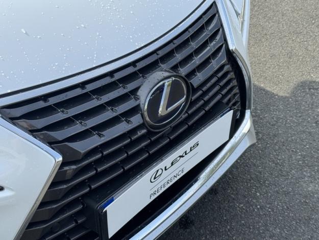 LEXUS NX 300H 2WD Design  