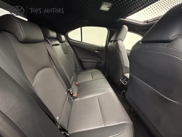 LEXUS UX 300h 2WD Luxe  TO + Pack Techno