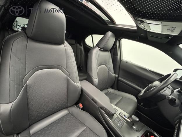 LEXUS UX 300h 2WD Luxe  TO + Pack Techno