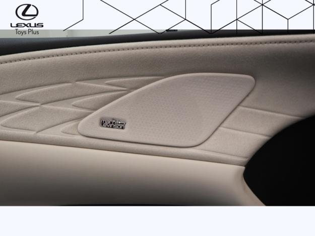 LEXUS RX 450h+ Opéra de Paris 4WD  