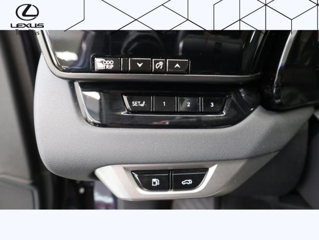 LEXUS RX 450h+ Opéra de Paris 4WD  