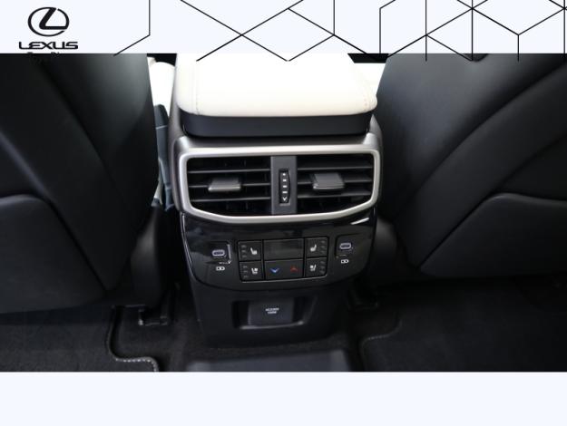 LEXUS RX 450h+ Opéra de Paris 4WD  