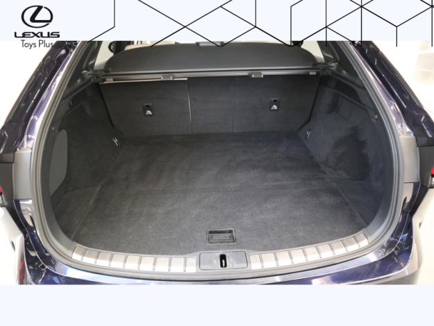 LEXUS RX 450h+ Opéra de Paris 4WD  