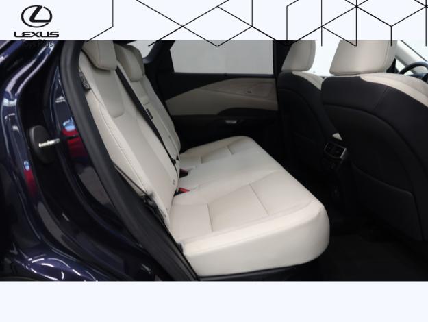 LEXUS RX 450h+ Opéra de Paris 4WD  