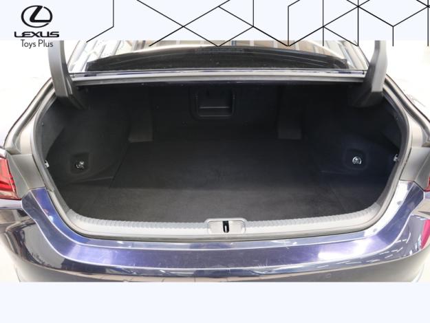LEXUS ES 300H EXECUTIVE  