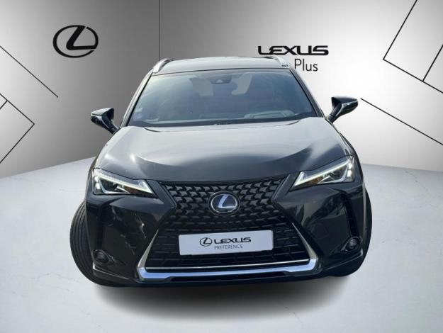 LEXUS UX 2.0 250H 2WD Luxe  