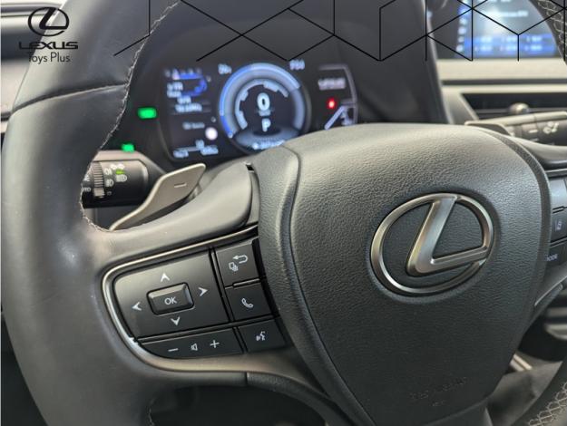 LEXUS UX 300E Pack  