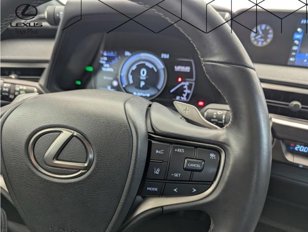 LEXUS UX 300E Pack  