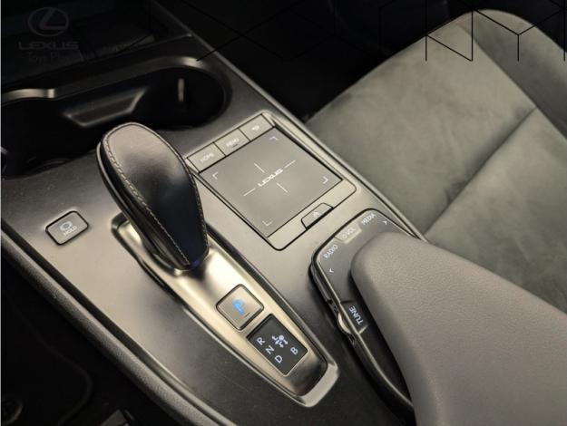 LEXUS UX 300E Pack  