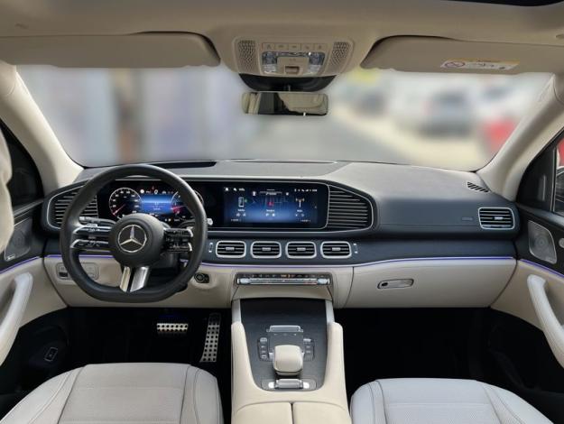 MERCEDES-BENZ GLS-KLASSE GLS 450 d 4MATIC (14/19)