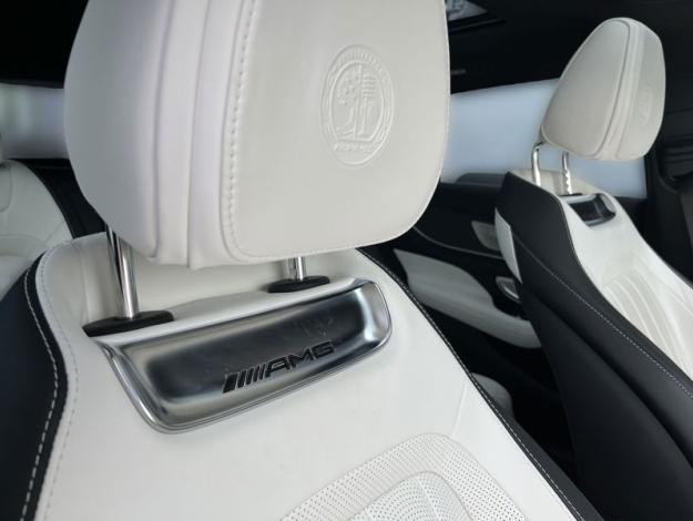 MERCEDES-BENZ Mercedes-AMG GT 53 4MATIC+ (17/26)