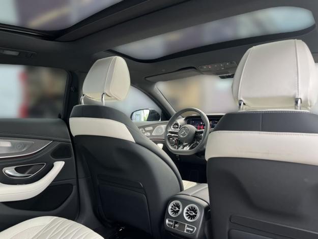 MERCEDES-BENZ Mercedes-AMG GT 53 4MATIC+ (24/26)