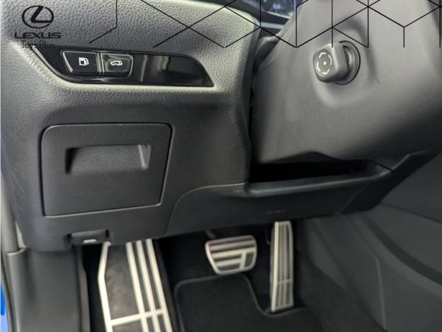 LEXUS NX 450H+ 4WD F SPORT Executive  