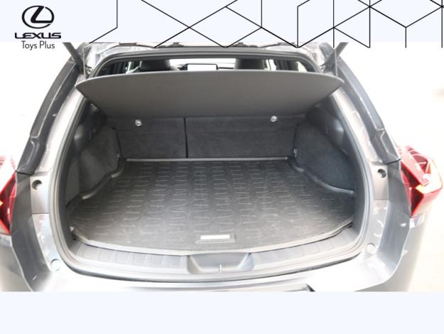 LEXUS UX 250H Luxe Pack Techno 2WD   