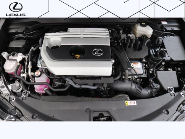 LEXUS UX 250H Luxe Pack Techno 2WD   