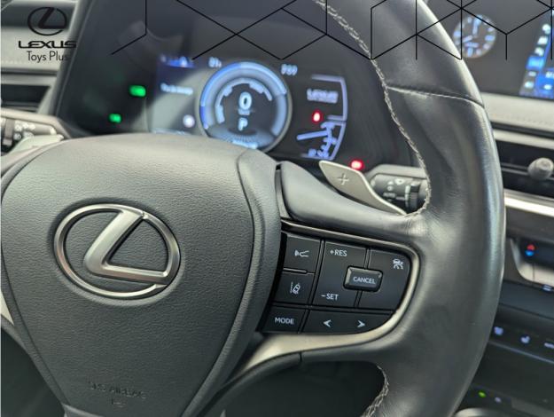 LEXUS UX 300E Luxe  