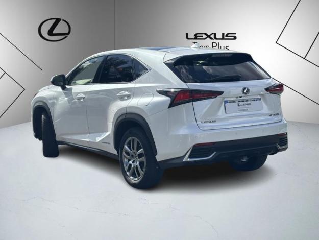 LEXUS NX 2.5 300H Luxe 4WD / Pano  