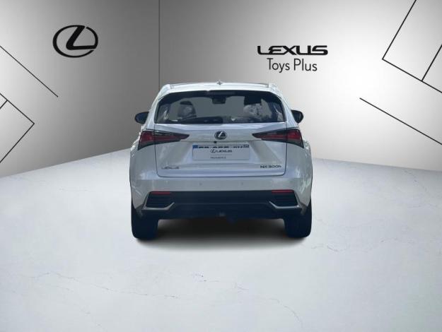 LEXUS NX 2.5 300H Luxe 4WD / Pano  