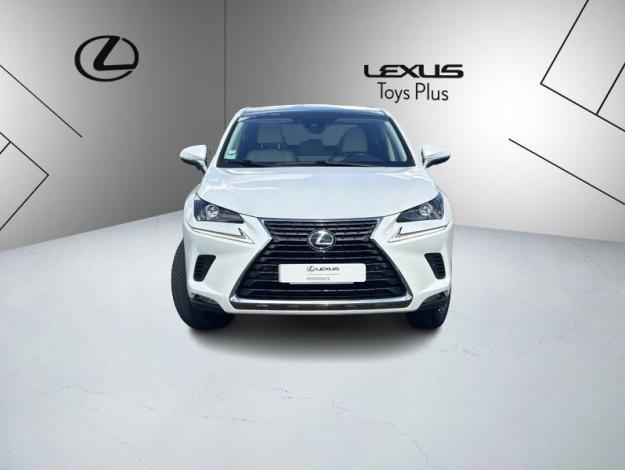 LEXUS NX 2.5 300H Luxe 4WD / Pano  