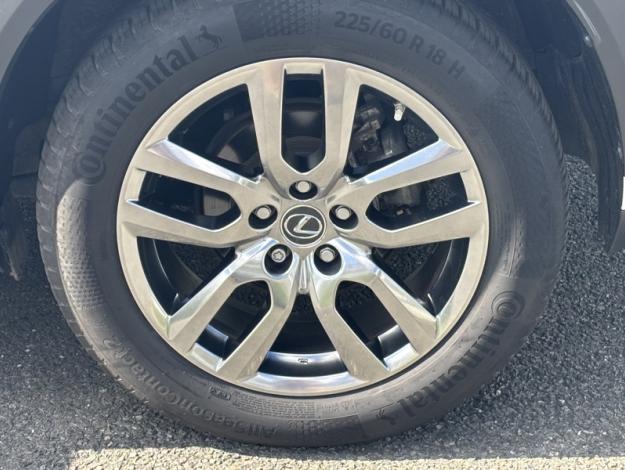 LEXUS NX 2.5 300H Luxe 4WD / Pano  