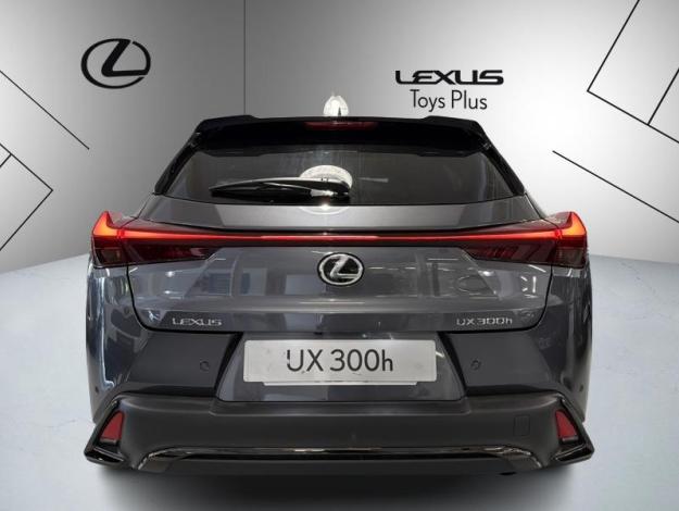 LEXUS UX 300h 2WD F SPORT Design  UX 300H HYBRIDE 2WD MC F SPORT DESIGN MY26