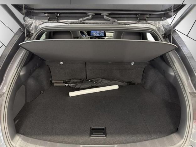 LEXUS UX 300h 2WD F SPORT Design  UX 300H HYBRIDE 2WD MC F SPORT DESIGN MY26