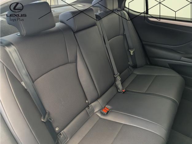 LEXUS ES 300h Luxury Line F SPORT